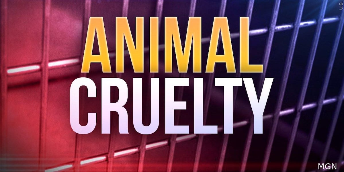 Watertown man accused of starving dog