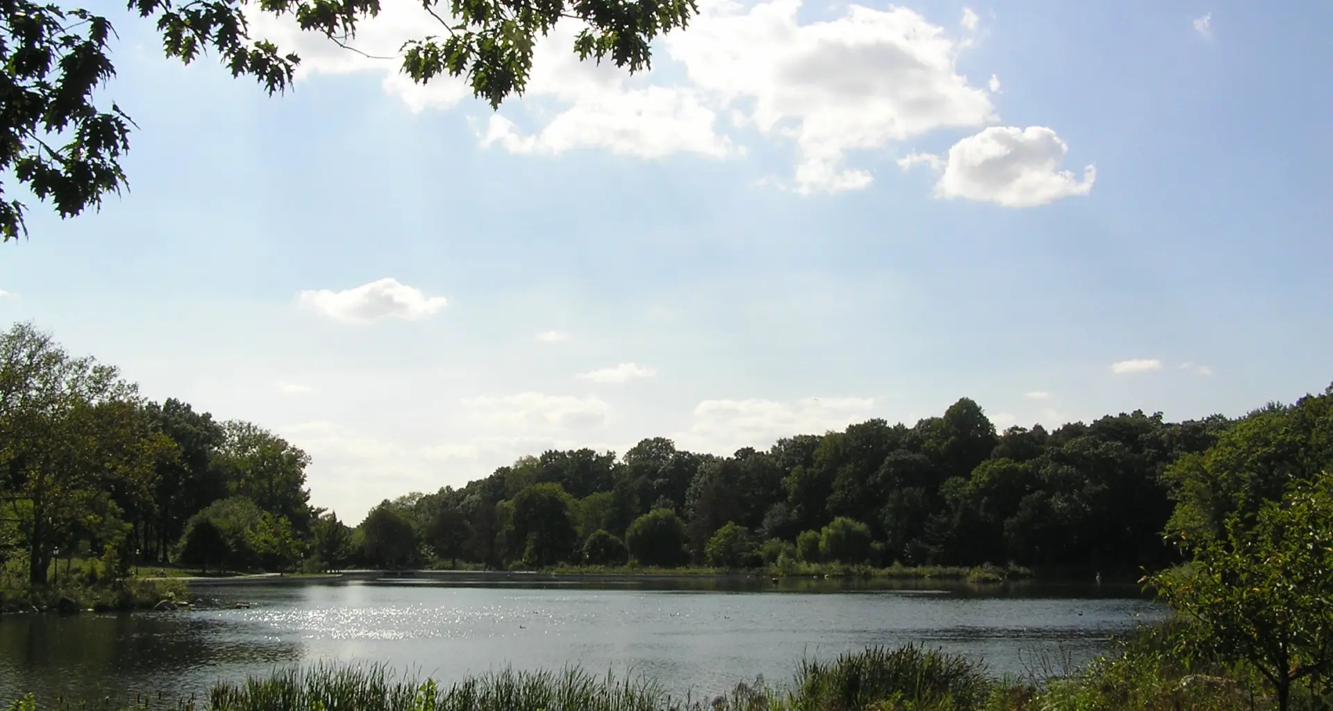 A pond in Kissena Park. Photo: Zouf/Wikimedia Commons