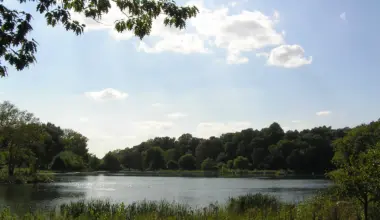 A pond in Kissena Park. Photo: Zouf/Wikimedia Commons