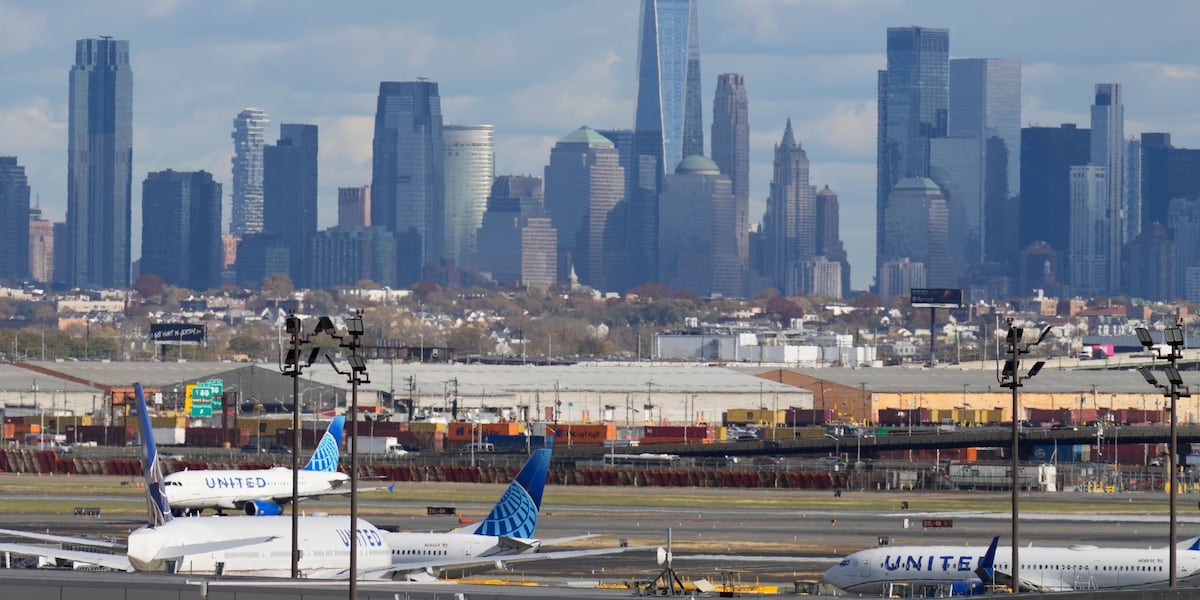 Convicted stowaway arrested again after a new alleged ticketless flight from US to Italy