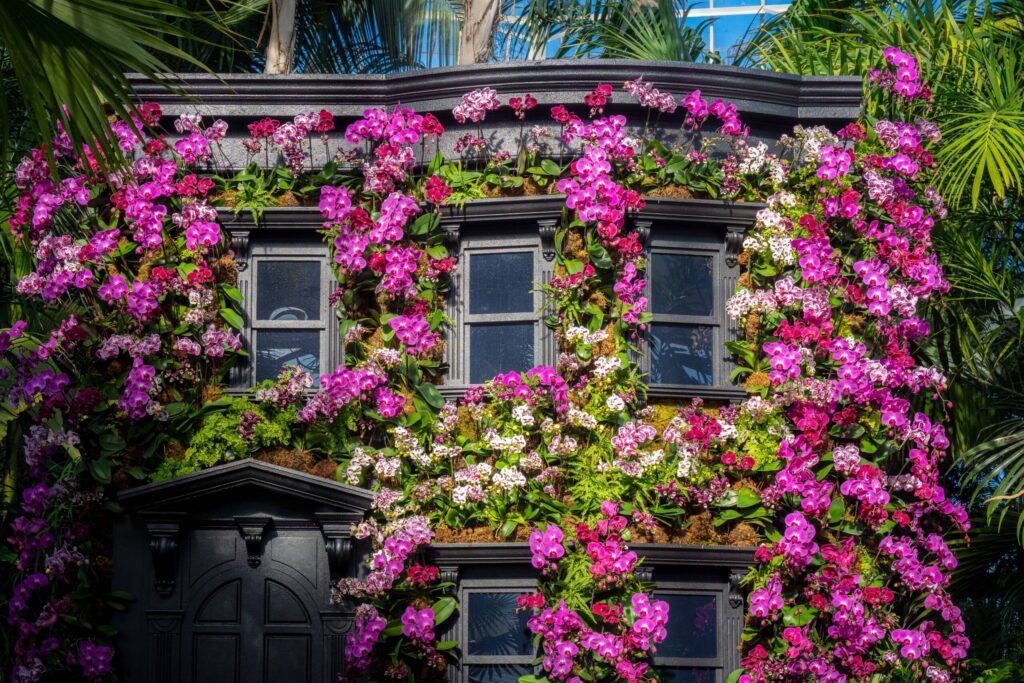 A dark gray mini brownstone building covered in fuschia orchid flowers.