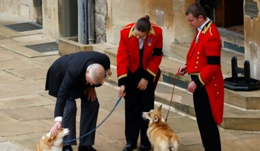 Queen Elizabeth's Corgis Appear to Have Moved With Andrew
