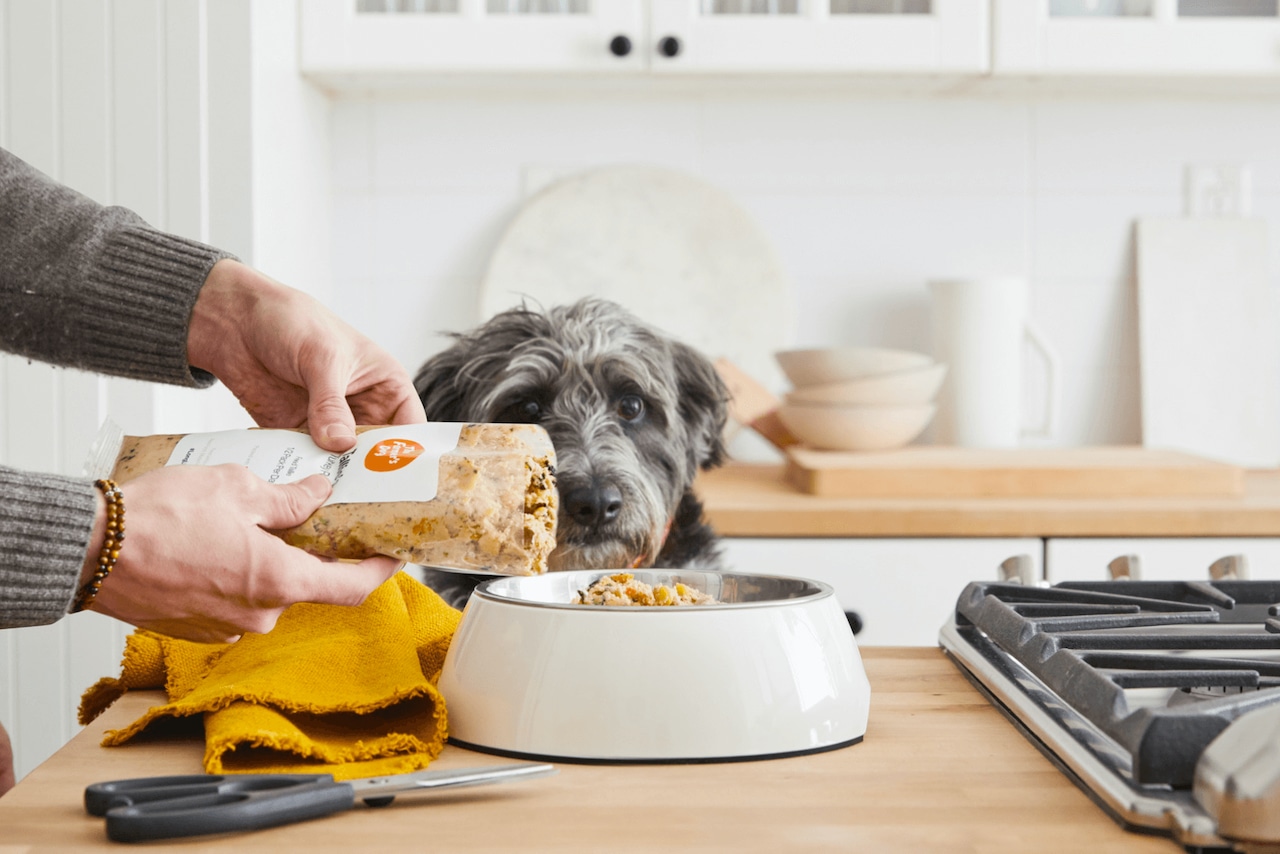 Good food, good love.  Share it with an adoptable pet.  March 29-30