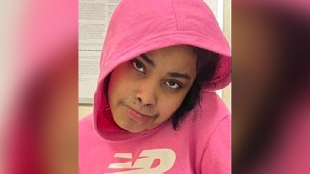 Mystery nonverbal girl found wandering Bronx streets in bitter cold in sandals and hoodie