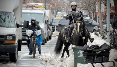 🚧 Scaffolding Collapse + ❤️ 44&X New Owner