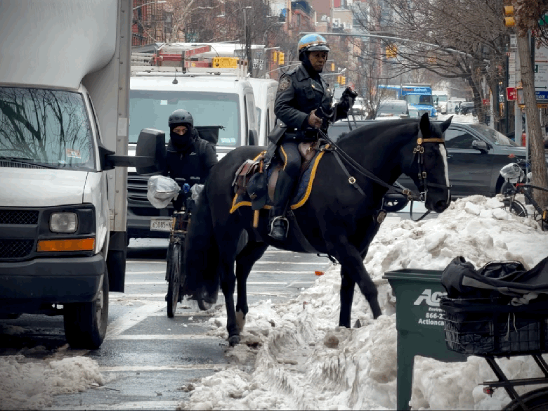NYPD Horse 9th Ave Snow 