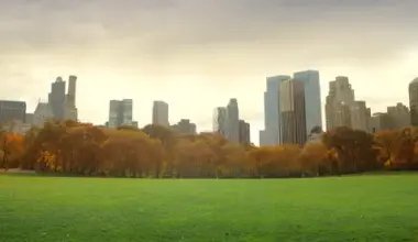 New Laws to New York Employers