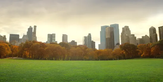 New Laws to New York Employers