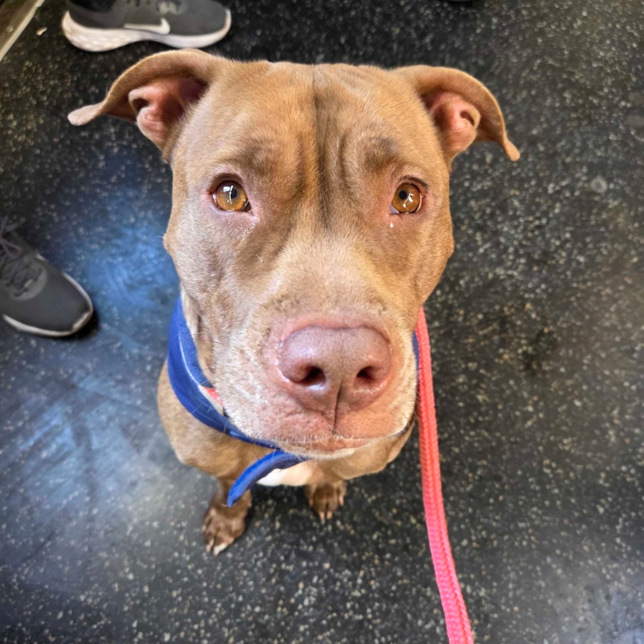 Good love, good food, and good company. Share it all with an adoptable pet. Feb 21-22