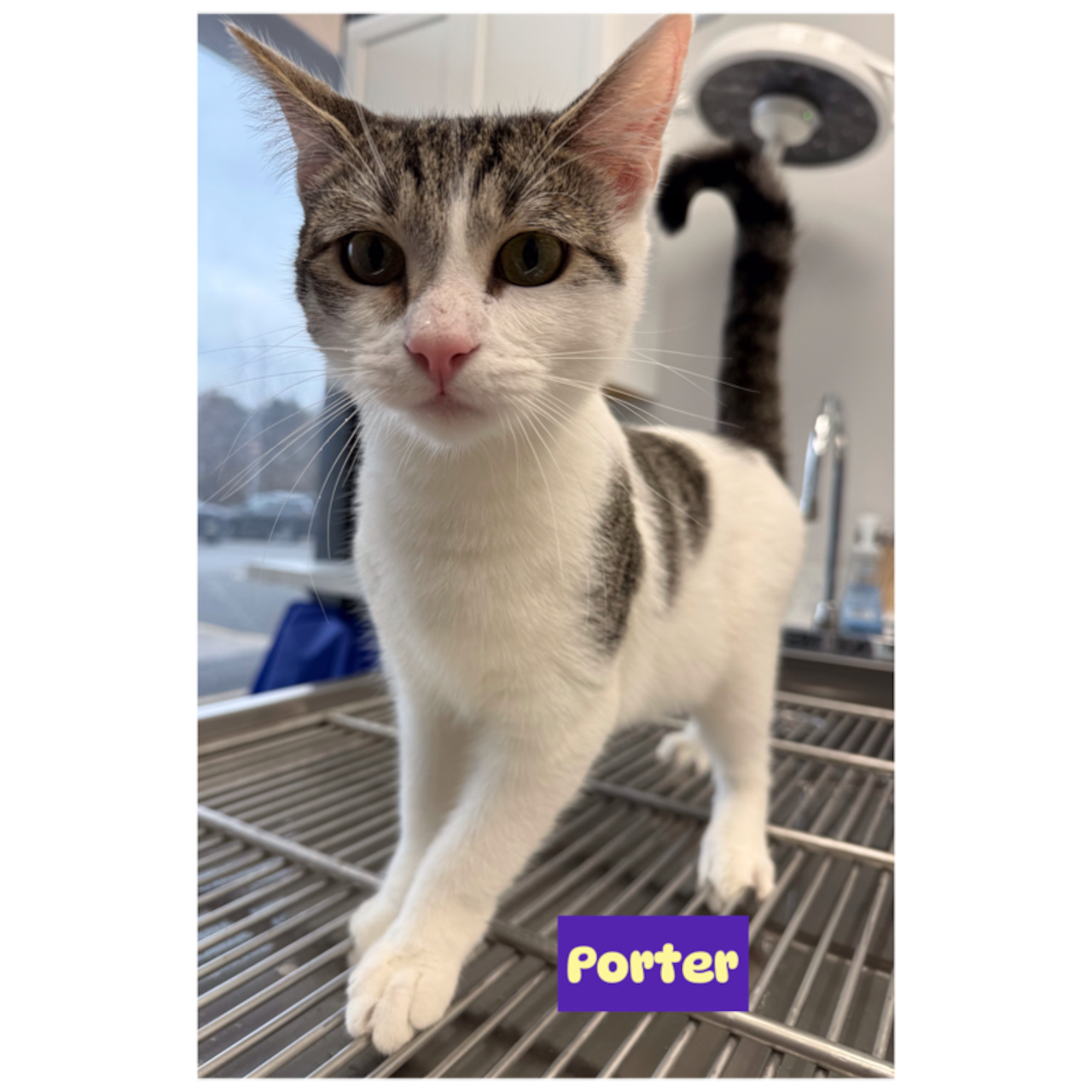 Good love, good food, and good company. Share it all with an adoptable pet. Feb 21-22