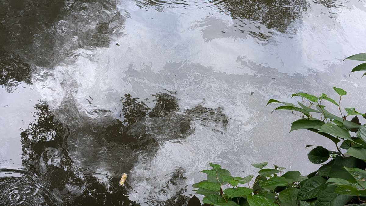 Congress Members demand Con Edison response to dielectric fluid leaks into Bronx River – Bronx Times