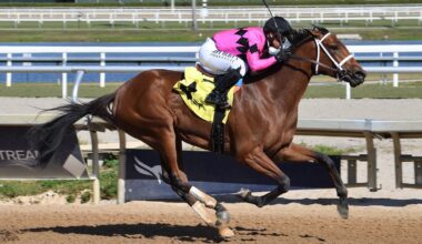 Quality Road's Prom Queen Voted 'TDN Rising Star' At Gulfstream