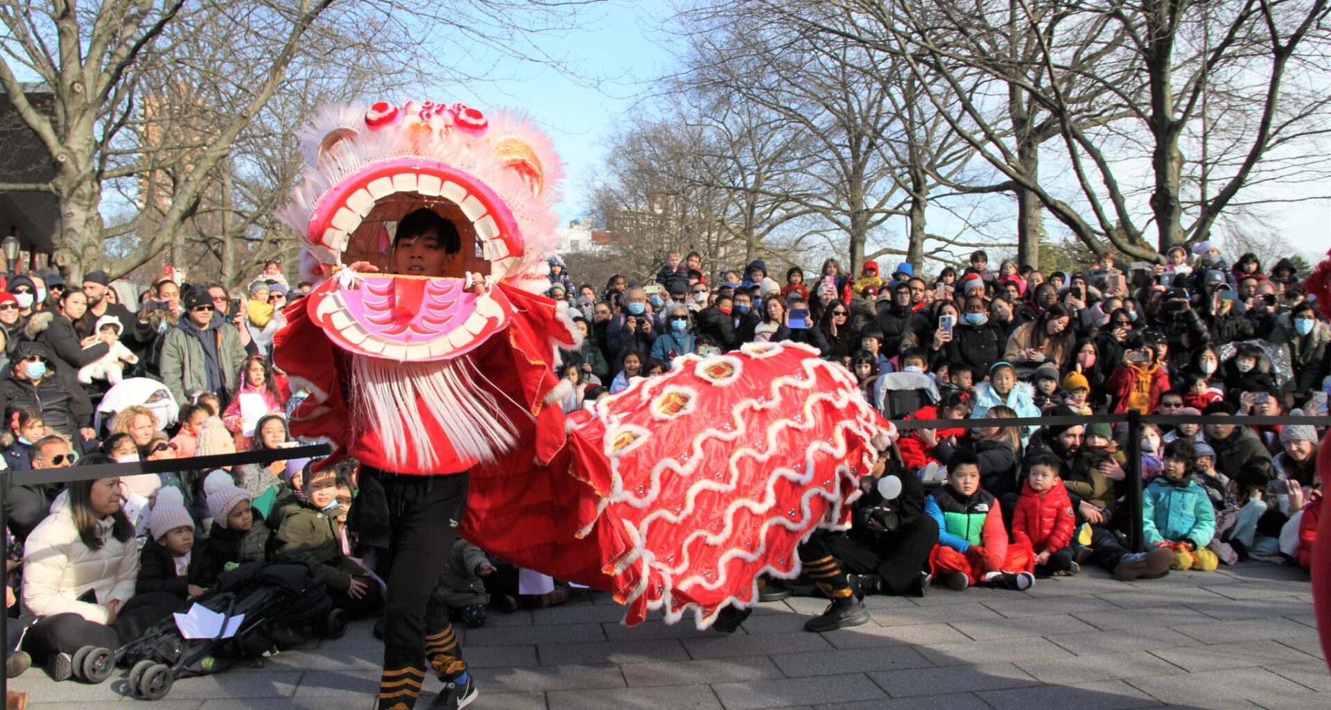 It’s In Queens! (Feb. 20 to Feb. 26)