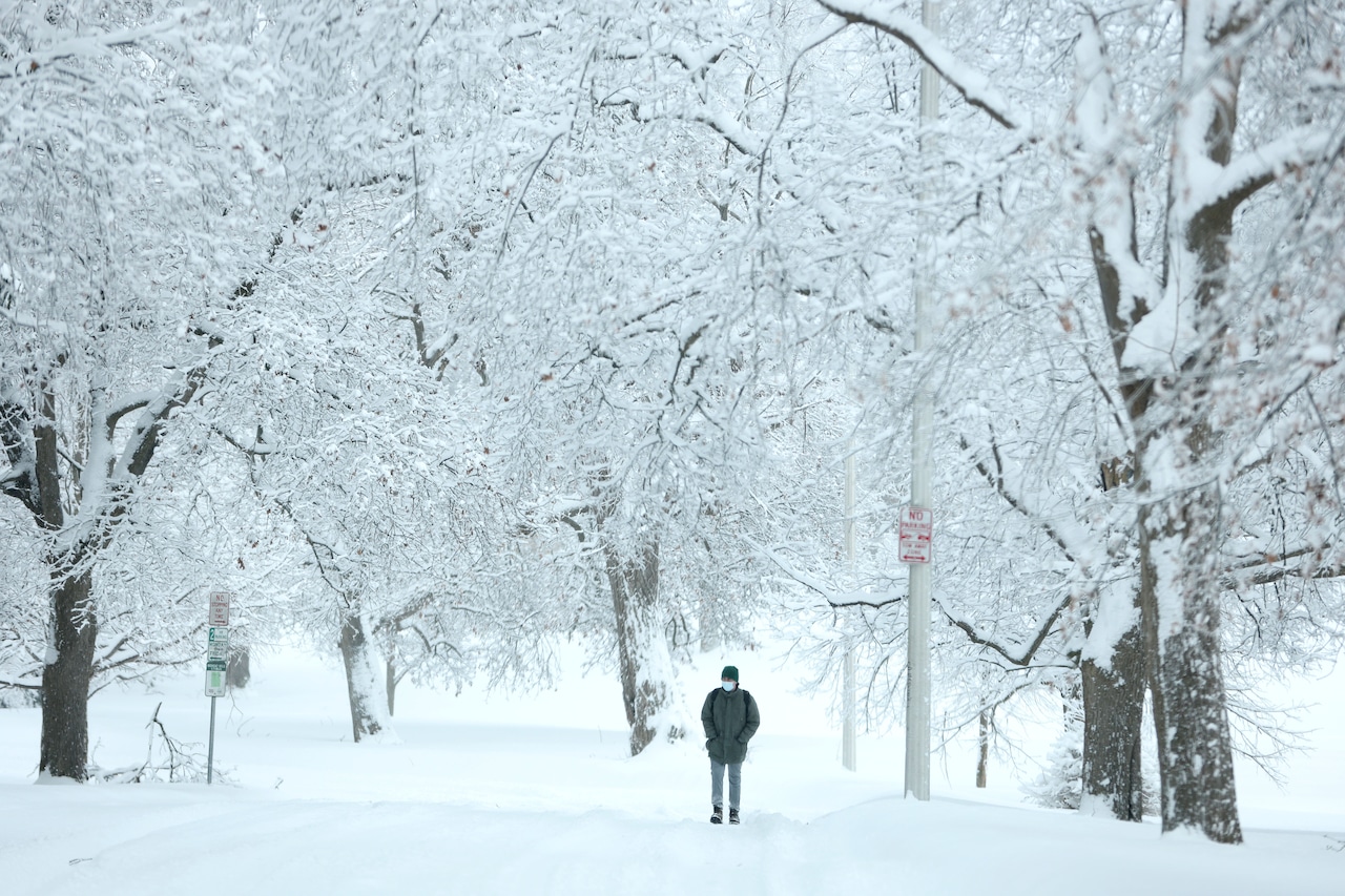 Who got the most snow in New York City, Long Island?