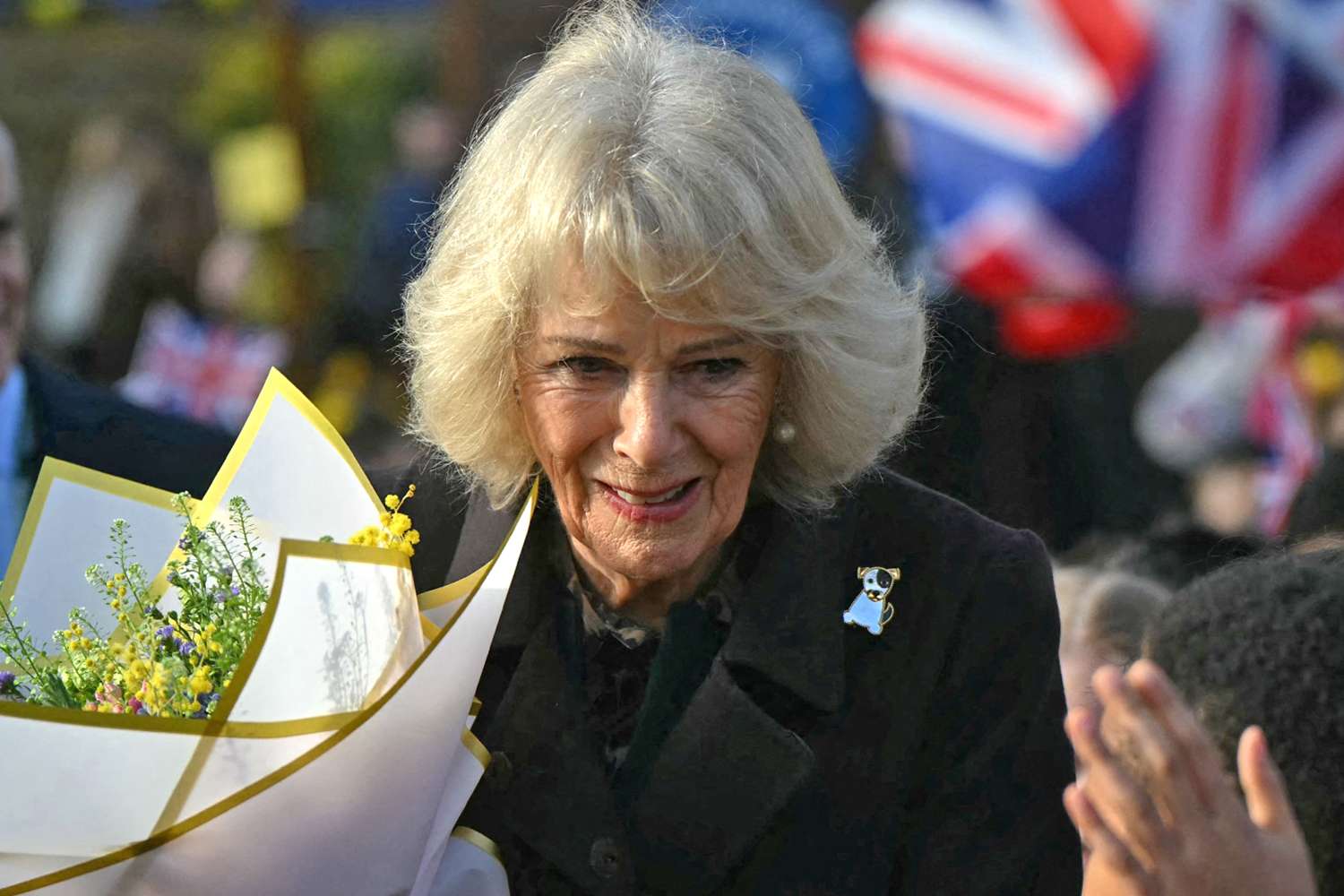 Queen Camilla Ignores Questions on Epstein Investigation and His Victims
