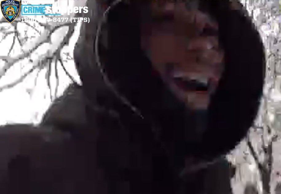 Bronx man busted for assaulting cops during Washington Square Park snowball fight 4