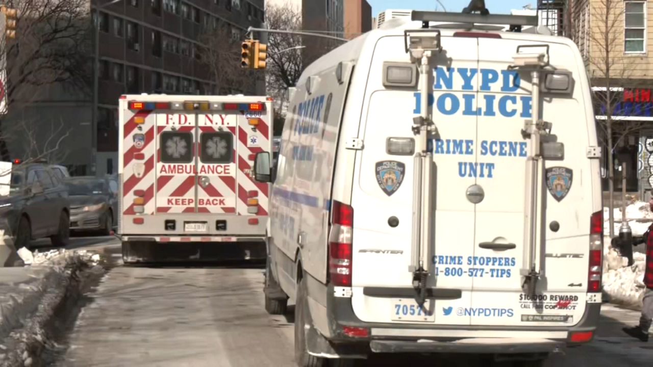 Human remains found in Brooklyn housing complex, police say