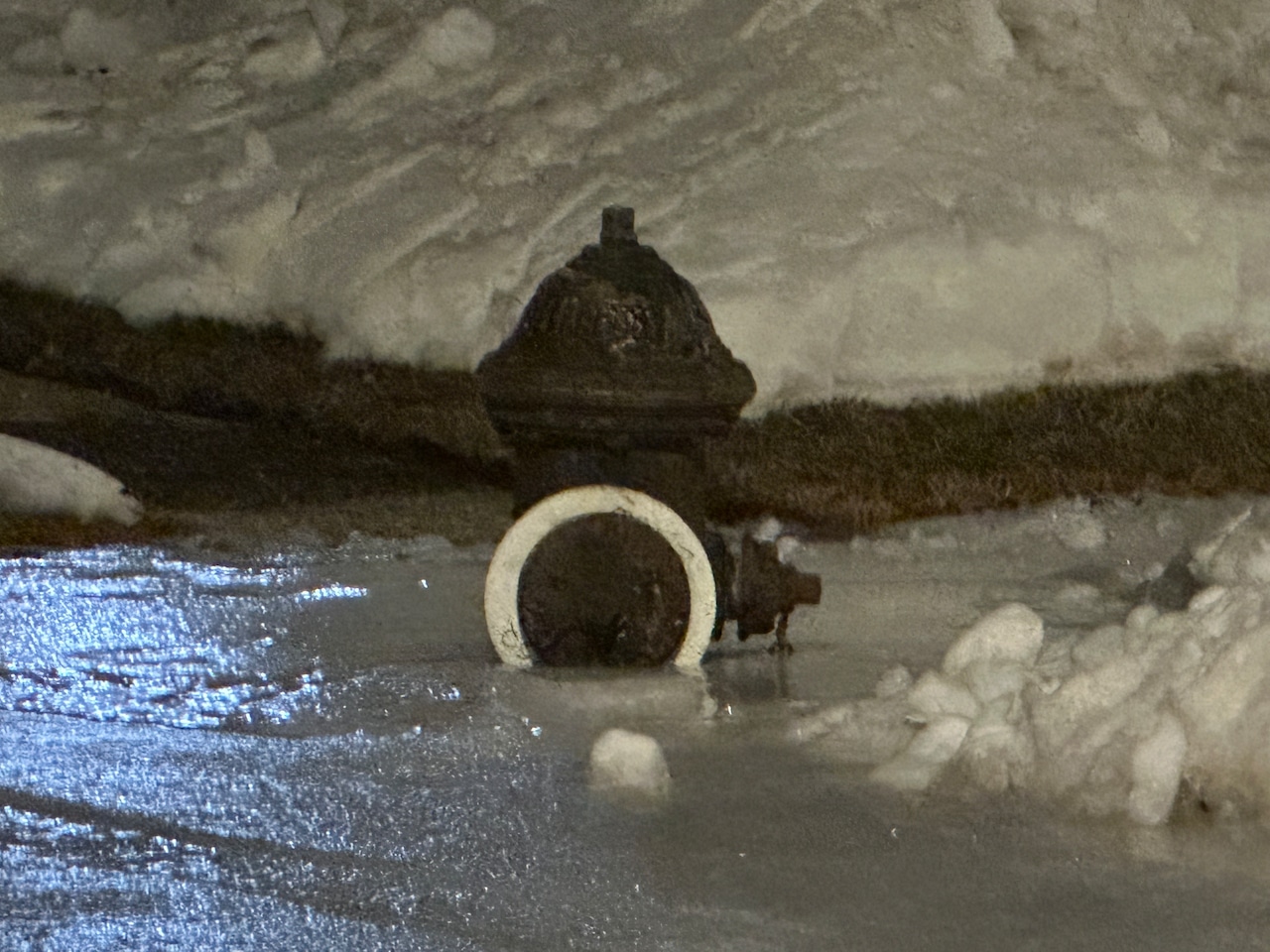 Icy Conditions in Eltingville