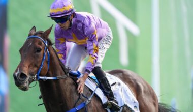 Road to the Kentucky Derby returns home to Arkansas, Florida, New York