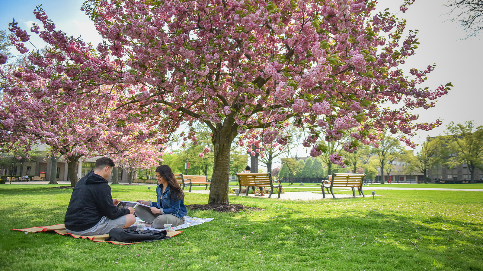 Application Requirements | Undergraduate Admissions | St. John’s University