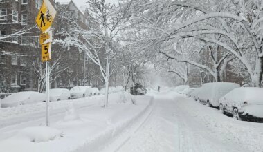 Queens slows to crawl after being blanketed by snow — Queens Daily Eagle