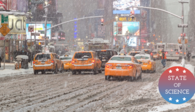 What’s Accumulating In The Dirty Snowbanks Of NYC?