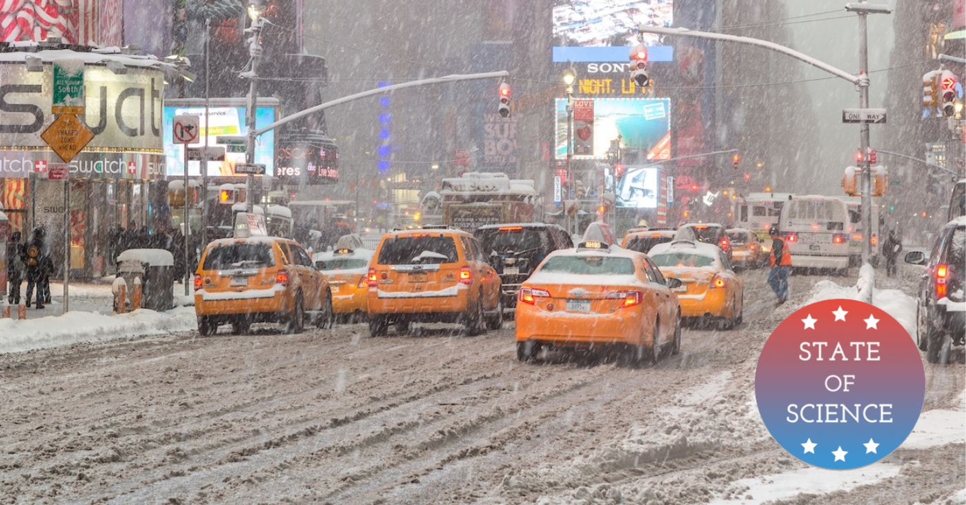 What’s Accumulating In The Dirty Snowbanks Of NYC?