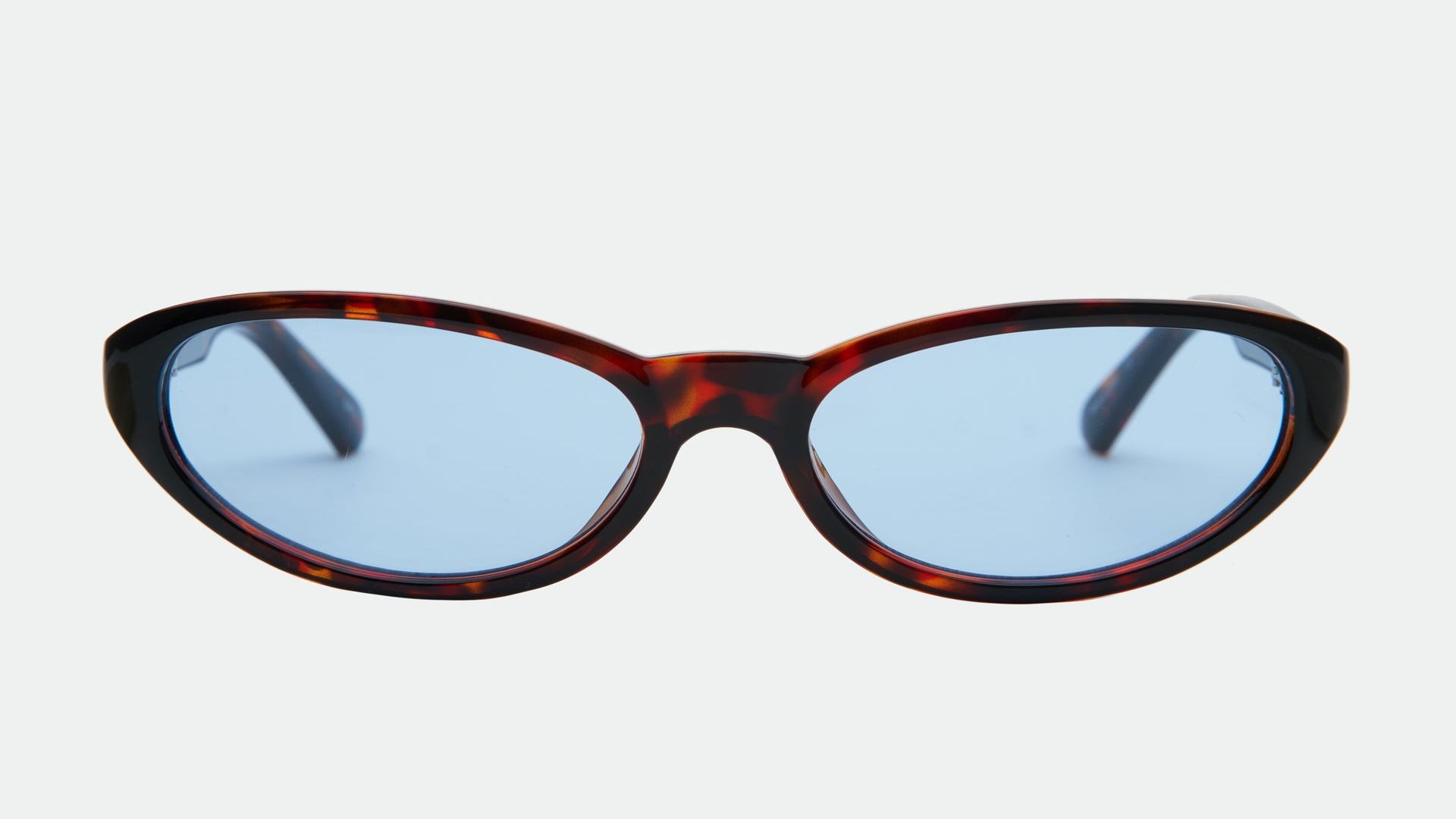 Kenny - Tortoiseshell