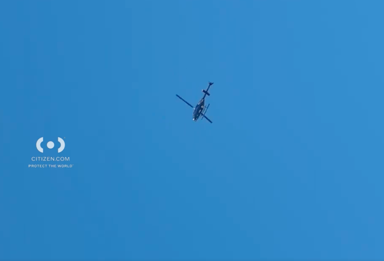 An 11-year-old boy was rescued from a pond in Springfield Park on Friday.