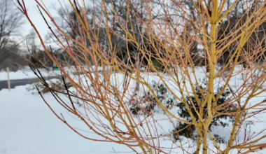 News 12 | Brooklyn | Late winter is the BEST time for a nature walk. Here's why