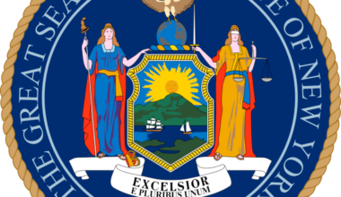 New York State candidates for the governor's race