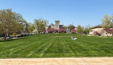 An Interview with Vincent Mraz