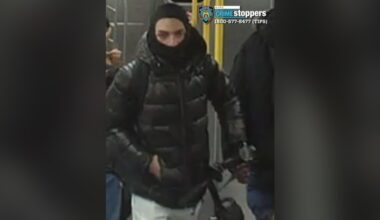 Suspect arrested for stabbing, wounding stranger in clash on NYC rush hour subway platform