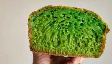 NYC Restaurant Closings, February 2026