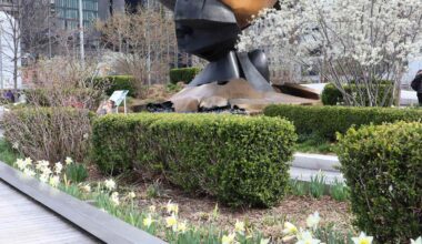 This Is the Best Free Attraction in New York City