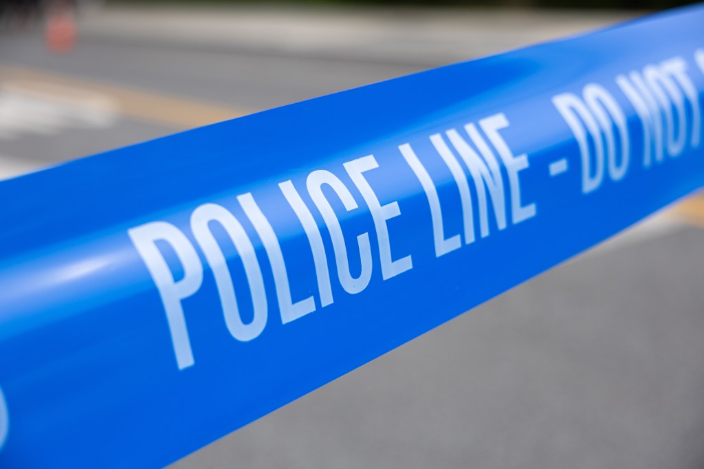 Man and dog found dead inside veterinary mobile van in Queens, unconscious man outside