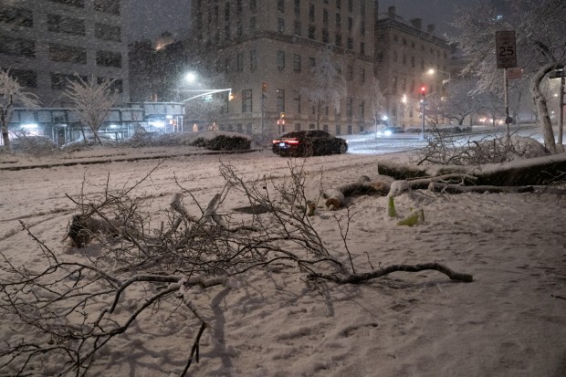 A tree that fell across the northbound lane on Park Ave. in Manhattan lies on the sidewalk after being cleared on the Upper West Side during a snow storm Sunday, Feb. 22, 2026 in New York City. (Barry Williams/ New York Daily News)