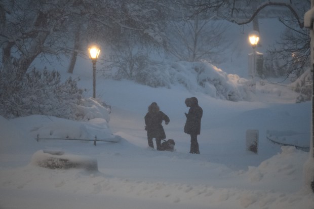 A couple walk their dog in Central Park during a blizzard Monday, Feb. 23, 2026 in Manhattan, New York. (Barry Williams/ New York Daily News)