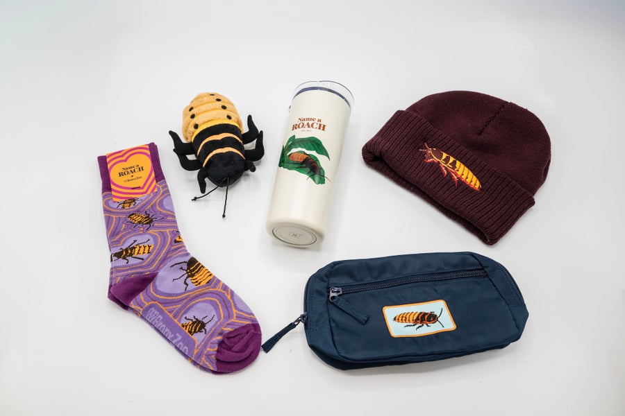 Clockwise the far left, purple socks with cockroaches, a plushy cockroach, a water bottle, a brown beanie and a fanny pack