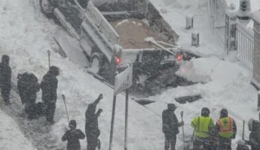 Tribeca Citizen | Seen & Heard: Sander falls through the pavers at City Hall Park