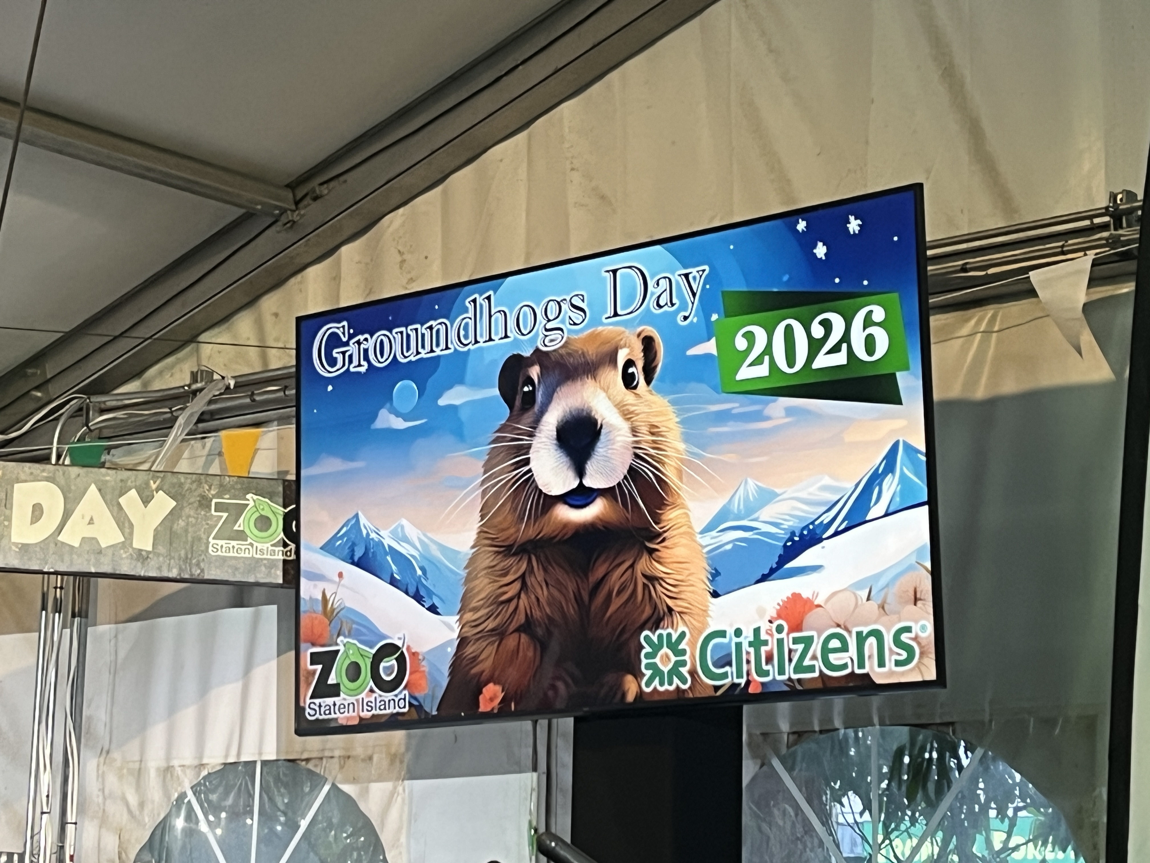 Staten Island Chuck is seen here at the 2026 Groundhog Day event at the Staten Island Zoo with local elected officials and zoo staff and members of the Susan Wagner Weather Club. He predicted six more weeks of winter.(Advance/SILive.com | Jan Somma-Hammel)