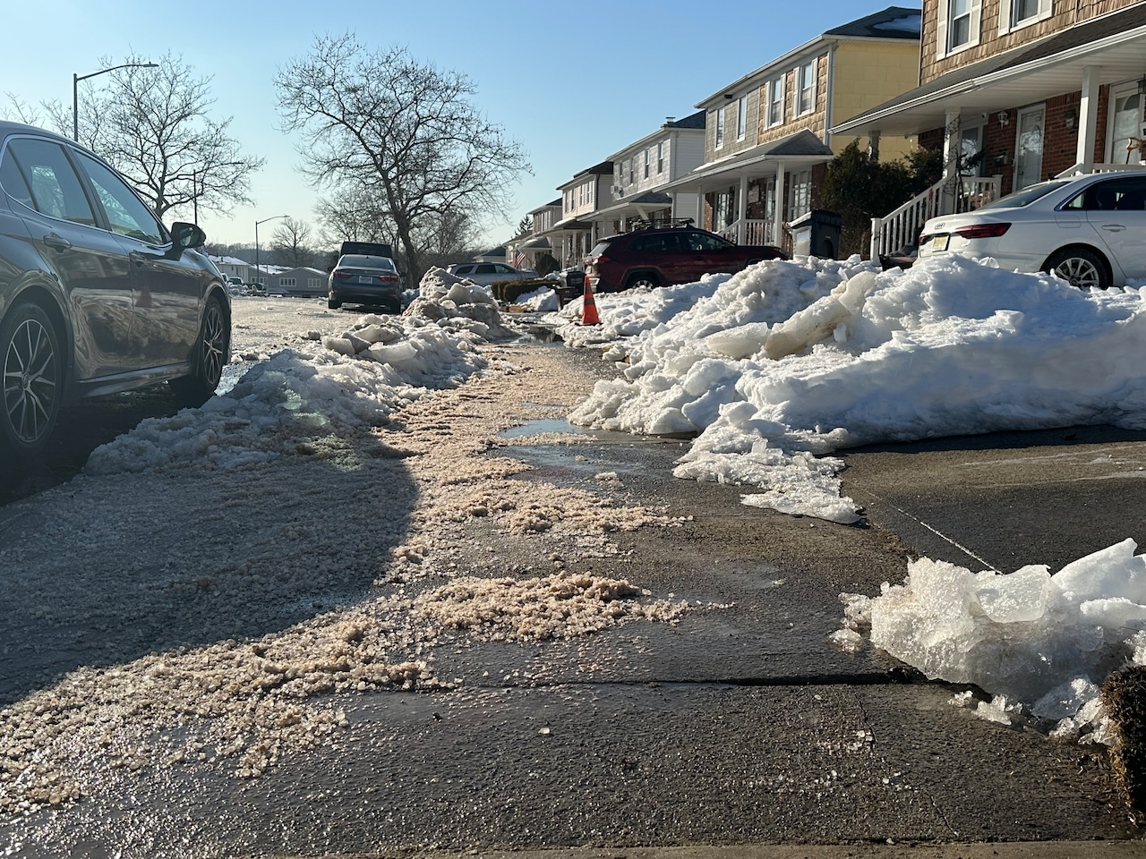 Icy Conditions in Eltingville