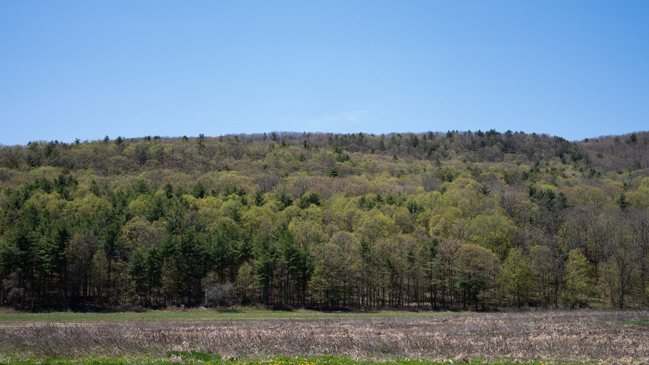 A field where biosolids have been spread.
