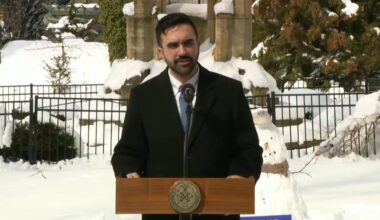 Mamdani said that from the videos he has seen, "it was a snowball fight that got out hand and it should be treated accordingly."