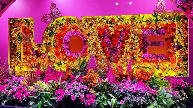 Macy's Flower Show flower display