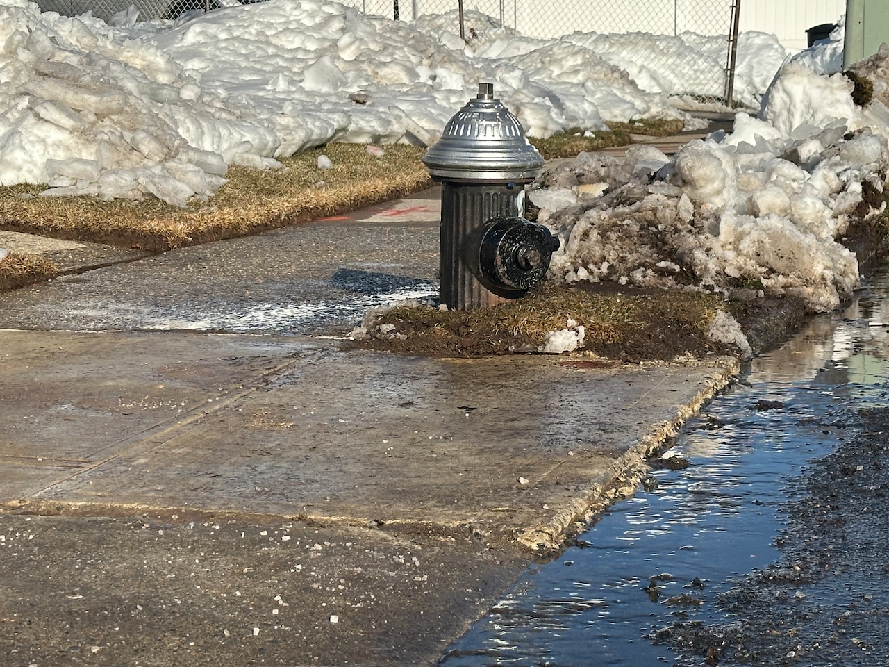 Icy Conditions in Eltingville