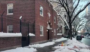 Falling tree narrowly misses nun and child in Manhattan – NBC New York