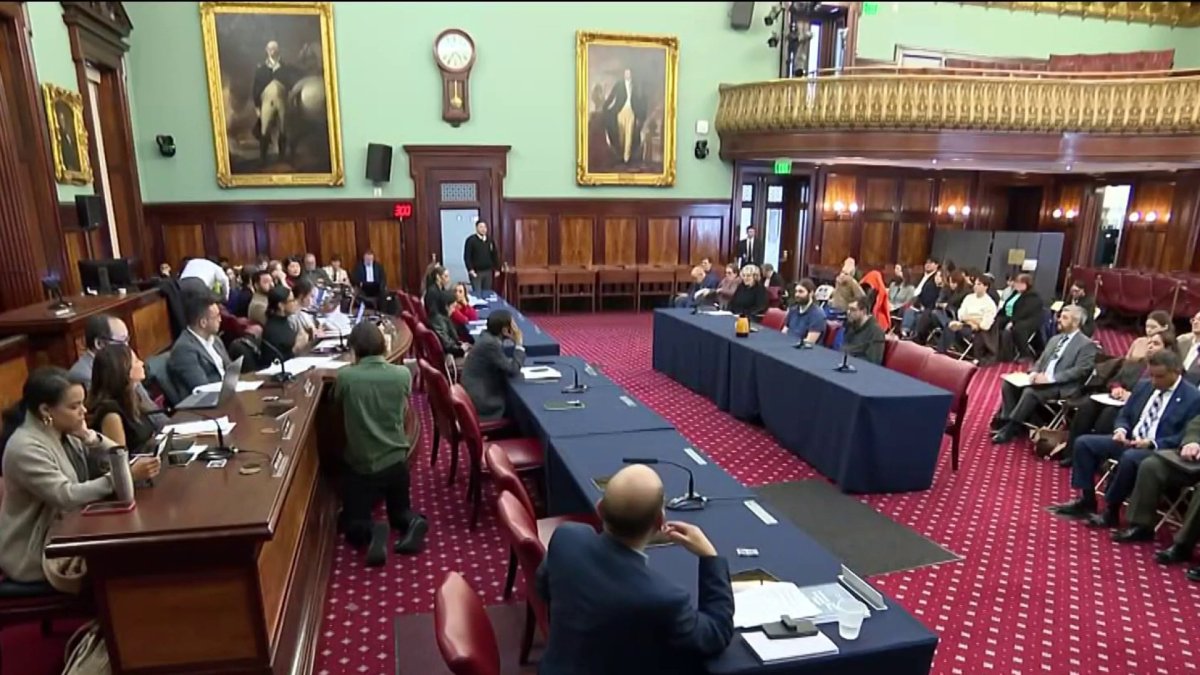 City Council assesses Mamdani administration’s cleanup – NBC New York