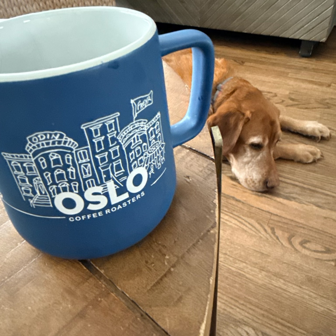 Coffee snow restaurant