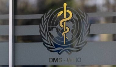New York City Joins WHO Health Network After US Withdrawal